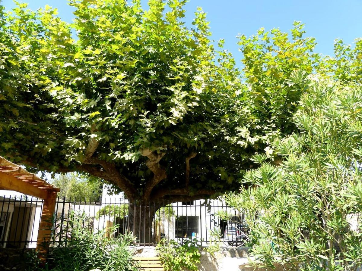 Gites La Ferme De Marguerite Tulette Exterior photo